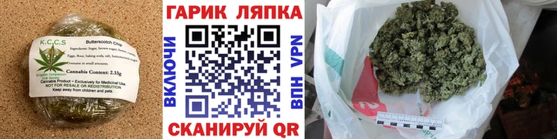 Cannafood марихуана  наркошоп  блэк спрут зеркало  Саранск 