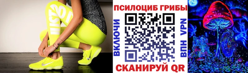 Псилоцибиновые грибы Psilocybe  купить наркотики сайты  Саранск 