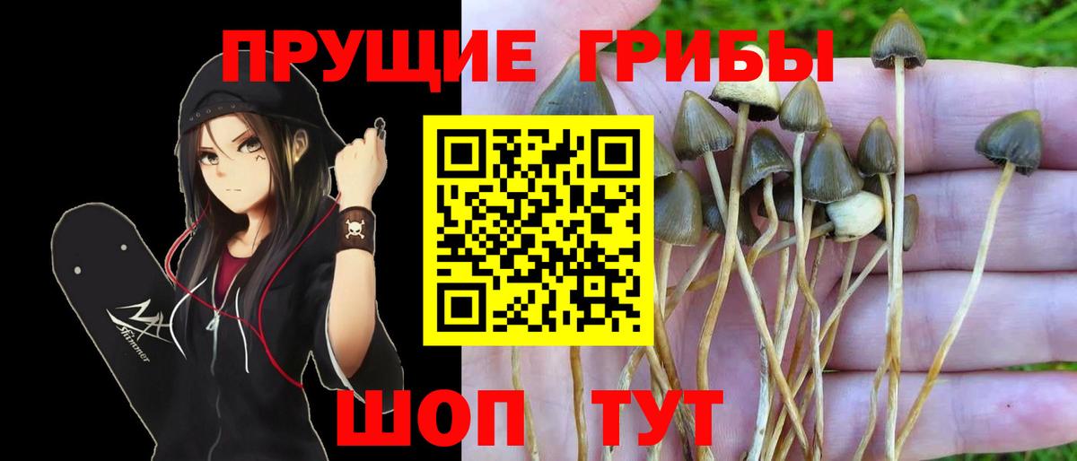 Псилоцибиновые грибы ЛСД Саранск