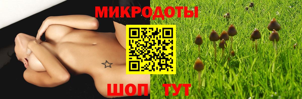 Галлюциногенные грибы прущие грибы  Псилоцибиновые грибы MAGIC MUSHROOMS  Саранск  Вход с VPN 